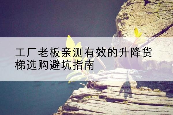 马尾升降货梯怎么选-工厂老板亲测有效的升降货梯选购避坑指南