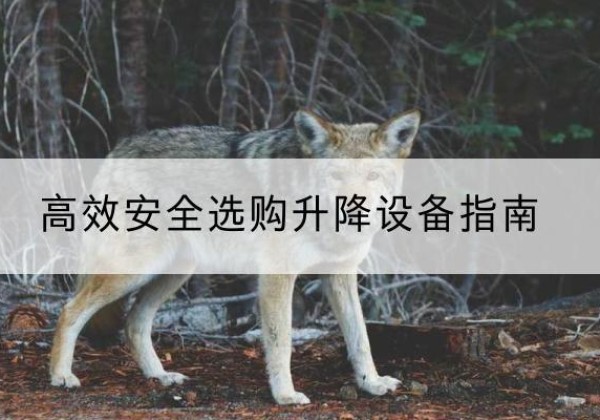 马尾升降货梯厂家推荐-*安全选购升降设备指南