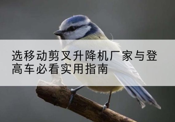 马尾电动升降机厂家-选移动剪叉升降机厂家与登高车必看实用指南