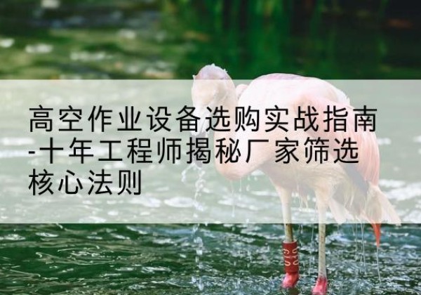 马尾剪叉式升降机厂家-高空作业设备选购实战指南-十年工程师揭秘厂家筛选核心法则