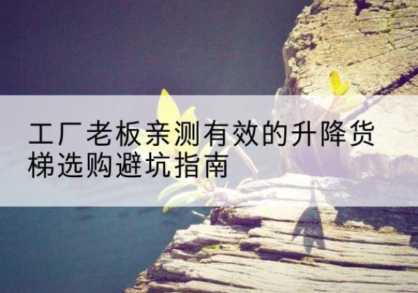 马尾升降货梯怎么选-工厂老板亲测有效的升降货梯选购避坑指南